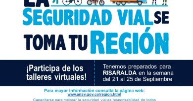 Seguridad Vial